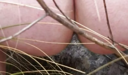 رابطه عکس سکس کون گشاد جنسی گرم احساسی