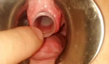 پورنو آسیایی و عكس كير و كس سوشی